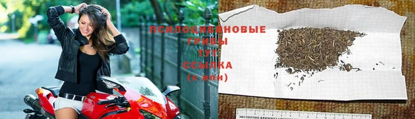 гашиш Инта