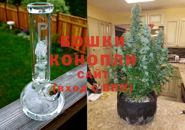 бошки Зерноград
