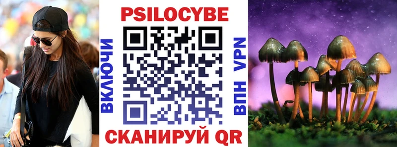Псилоцибиновые грибы мицелий  Ростов-на-Дону 